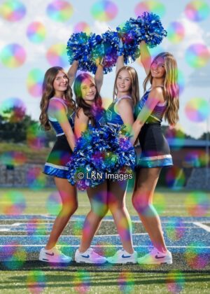 LNHS - Yard Signs: Dance: R3A_4338_LNHS_Fall_Dance