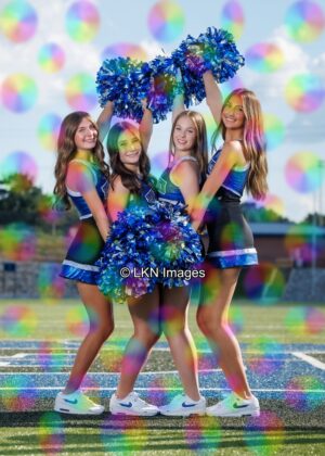 LNHS - Yard Signs: Dance: R3A_4339_LNHS_Fall_Dance