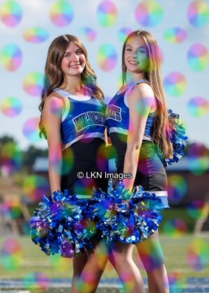 LNHS - Yard Signs: Dance: R3A_4341_LNHS_Fall_Dance
