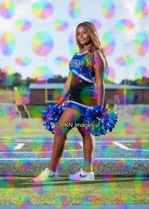 LNHS - Yard Signs: Dance: R3A_4348_LNHS_Fall_Dance