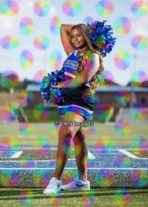 LNHS - Yard Signs: Dance: R3A_4351_LNHS_Fall_Dance