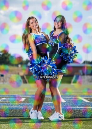 LNHS - Yard Signs: Dance: R3A_4362_LNHS_Fall_Dance