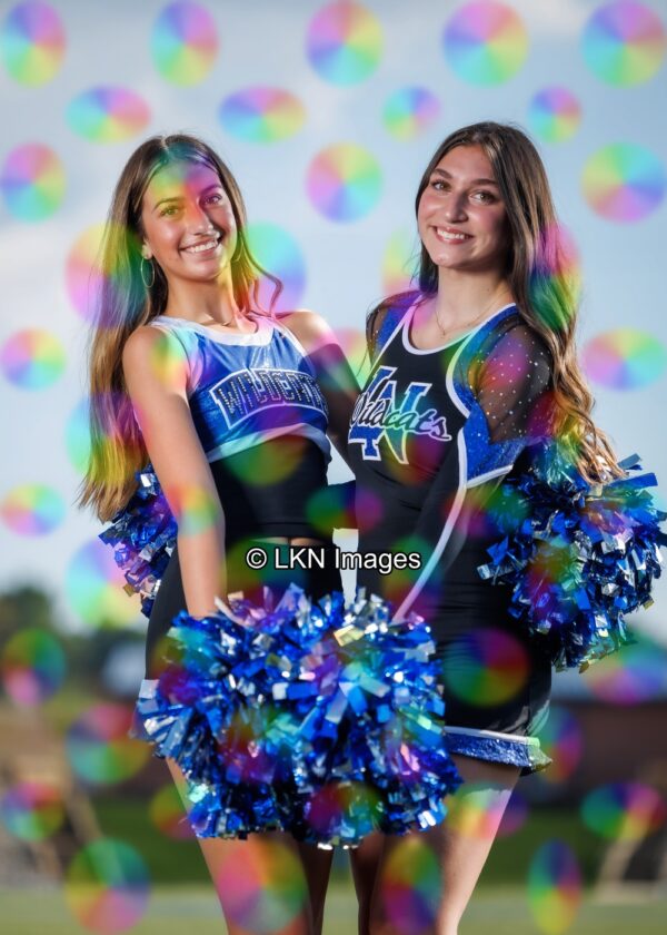 LNHS - Yard Signs: Dance: R3A_4363_LNHS_Fall_Dance
