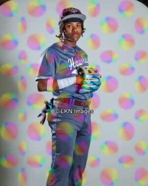 WMHS - Baseball: CR6A0148_WMHS_Spring