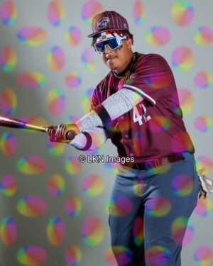 WMHS - Baseball: CR6A0180_WMHS_Spring