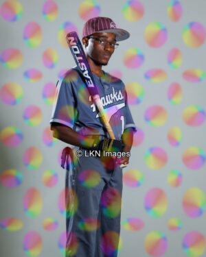 WMHS - Baseball: CR6A0198_WMHS_Spring