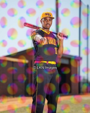 WCHS - Baseball: CR6A0928_WCHS_Spring