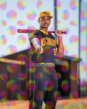 WCHS - Baseball: CR6A0929_WCHS_Spring