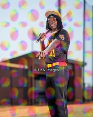 WCHS - Baseball: CR6A0944_WCHS_Spring