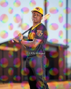 WCHS - Baseball: CR6A0963_WCHS_Spring