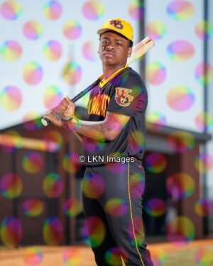 WCHS - Baseball: CR6A0964_WCHS_Spring