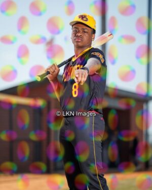 WCHS - Baseball: CR6A0965_WCHS_Spring