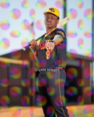 WCHS - Baseball: CR6A0967_WCHS_Spring