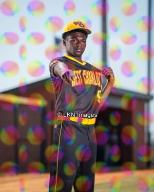 WCHS - Baseball: CR6A0979_WCHS_Spring